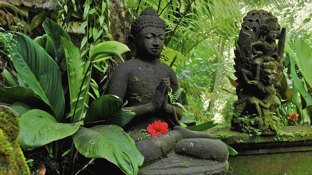 buddha pose 